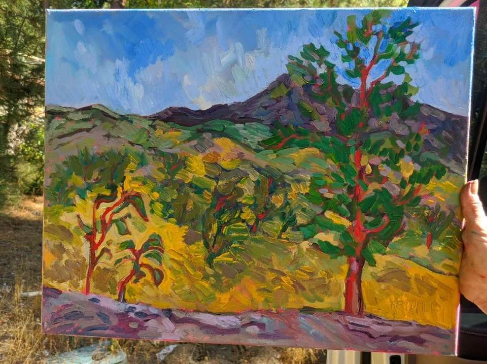 Here is a Sierra foothills painting I made from Gianelli’s vineyard last week