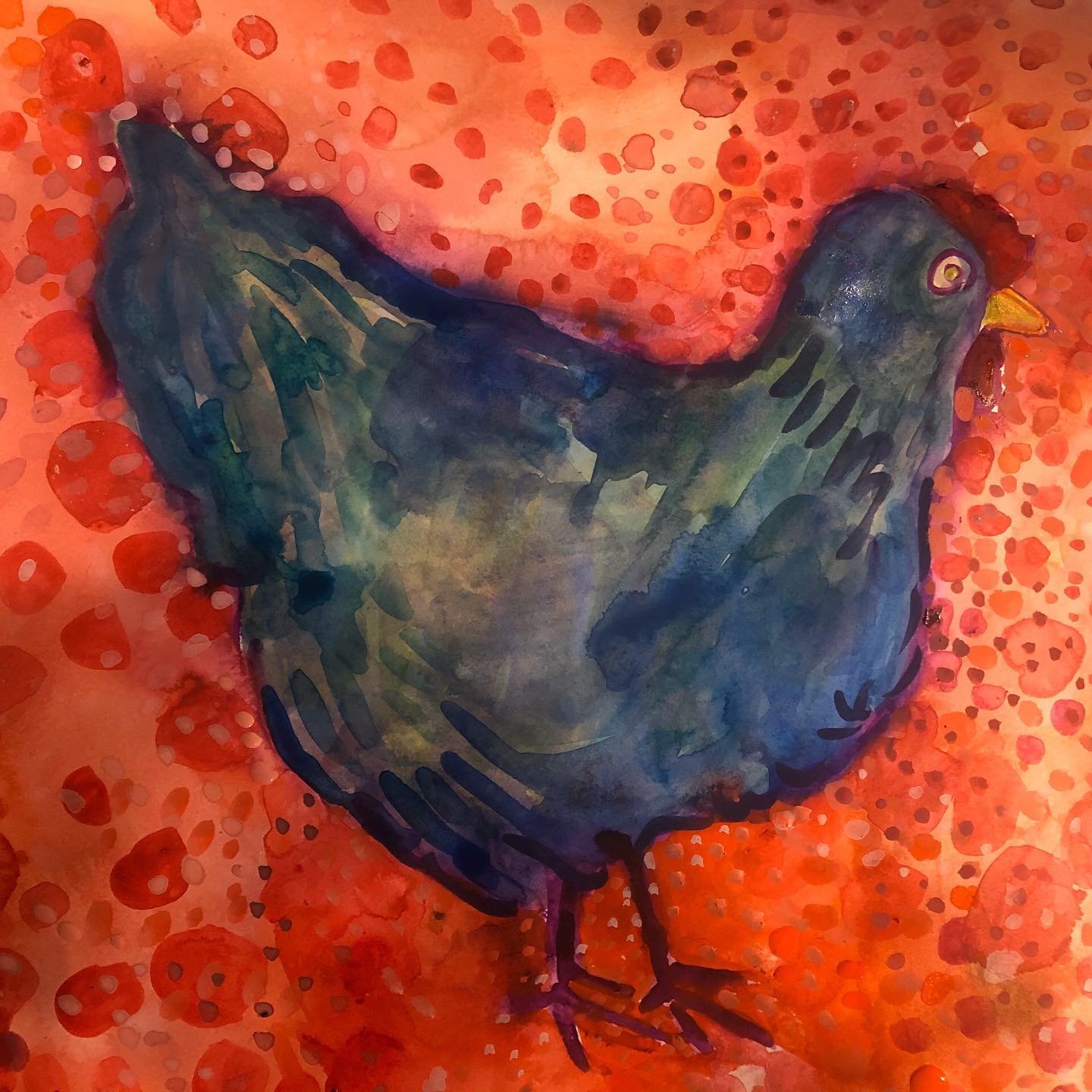 Another Paris chicken getting ready for matting